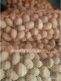 Witam. Sprzedam 80 worków 15kg ziemniaka Soraya , ręcznie wybieranego. Oraz około 1.5 t drobnego drugi rok po centrali pakowany worki...