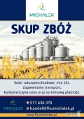 Firma FHU Michałek zakupi pszenicę, pszenżyto, żyto, kukurydzę, jęczmień, owies oraz inne zboża.Ilość samochodowe, min...