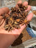 Sprzedam gwiazdki anyżu – trzy jakości do wyboru!