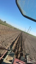 Oferuję usługę zakładania plantacji sadowniczych sadzenie drzew i krzewów na nawigacji GPS RTK z dokładnością do 1cm 