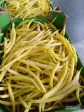 Sprzedam fasolę szparagowa żółta tel 696972265