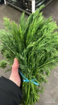 W ciągłej sprzedaży świeży koper oraz natka pietruszki /Iran oraz Uzbekistan.