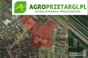 Przetarg na dzierżawę 38,48 ha gruntu rolnego na 3 lata