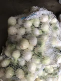 Sprzedam cebula młoda obrana na biało 50+ Worek 5 kg  200 kilo