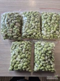 Świeży bób – sprzedaż detaliczna i hurtowa w dużych ilościach! 