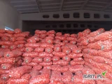 Sprzedam cebulę pakowana w worek 15 -20kg, kaliber 6-8odbior