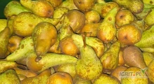 Szanownie panstwo.Kupuje gruszki przemyslowe,ilost od 3000kg-4000kg.Platnost gotuwka.whatsapp:00420606552627.