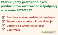 Oferta dla profesjonalnych producentów owoców przemysłowych.