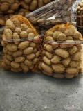 Sprzedam ziemniaki Queen Ann / Soraya w ilościach 10 / 15 ton worek 15kg / bigbag