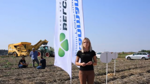 Ochrona ziemniaka w technologii Belchim Crop Protection